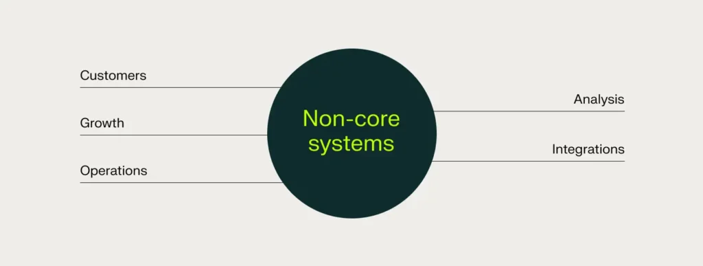 non-core systems support