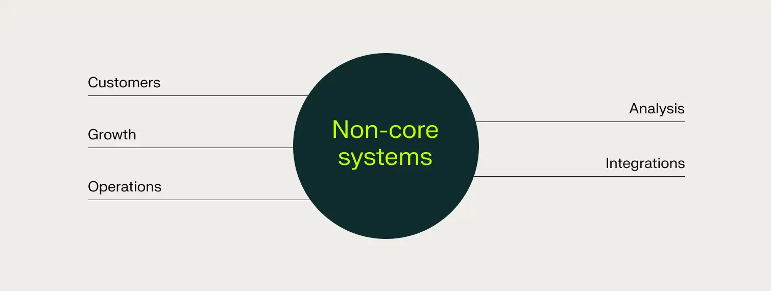 non-core systems support